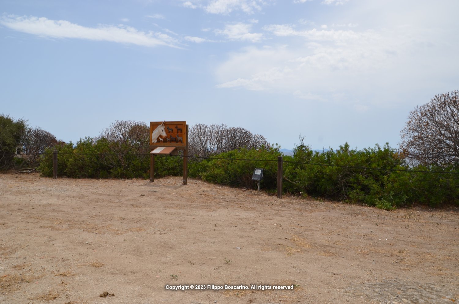 sardegna-asinara-cala-re-7-