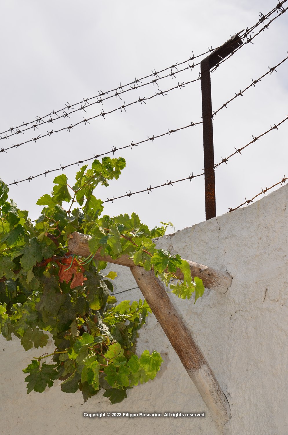 sardegna-asinara-bunker-12-