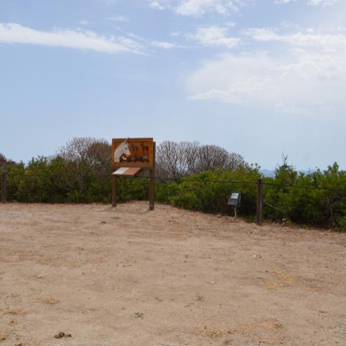 sardegna-asinara-cala-re-7-