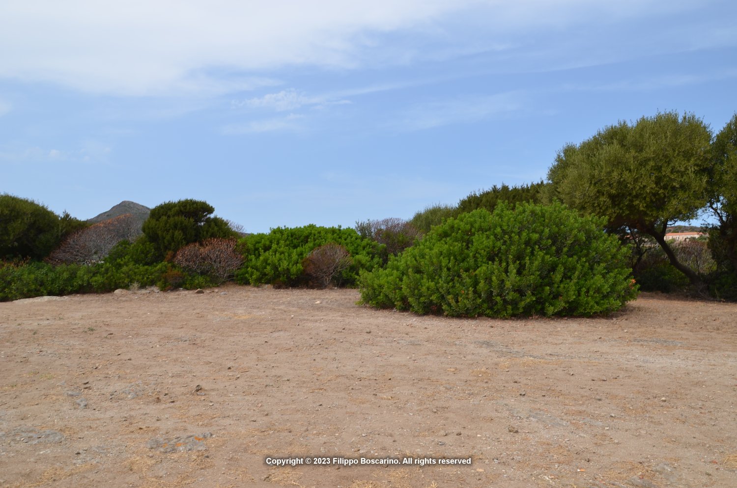 sardegna-asinara-cala-re-10-