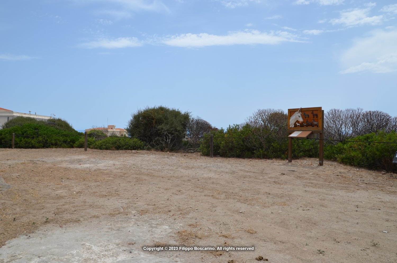 sardegna-asinara-cala-re-14-