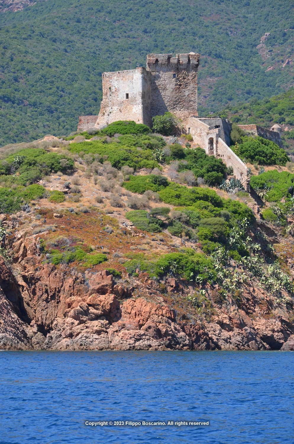 corsica-isola-rossa-77-