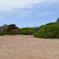 sardegna-asinara-cala-re-10-