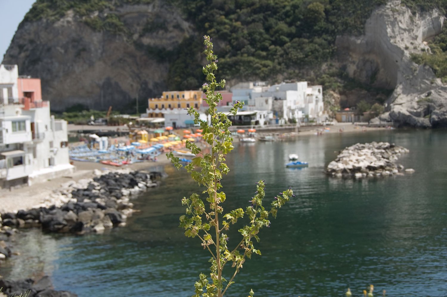 minicrociera-ischia-ventotene-3i-maggio-2013-53-of-96-