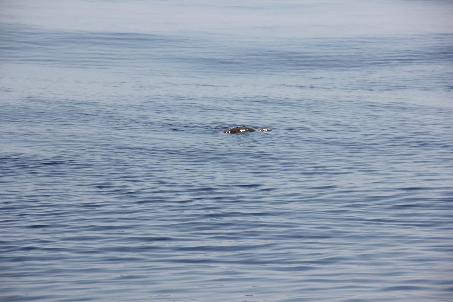 crociera-2013-eolie-005