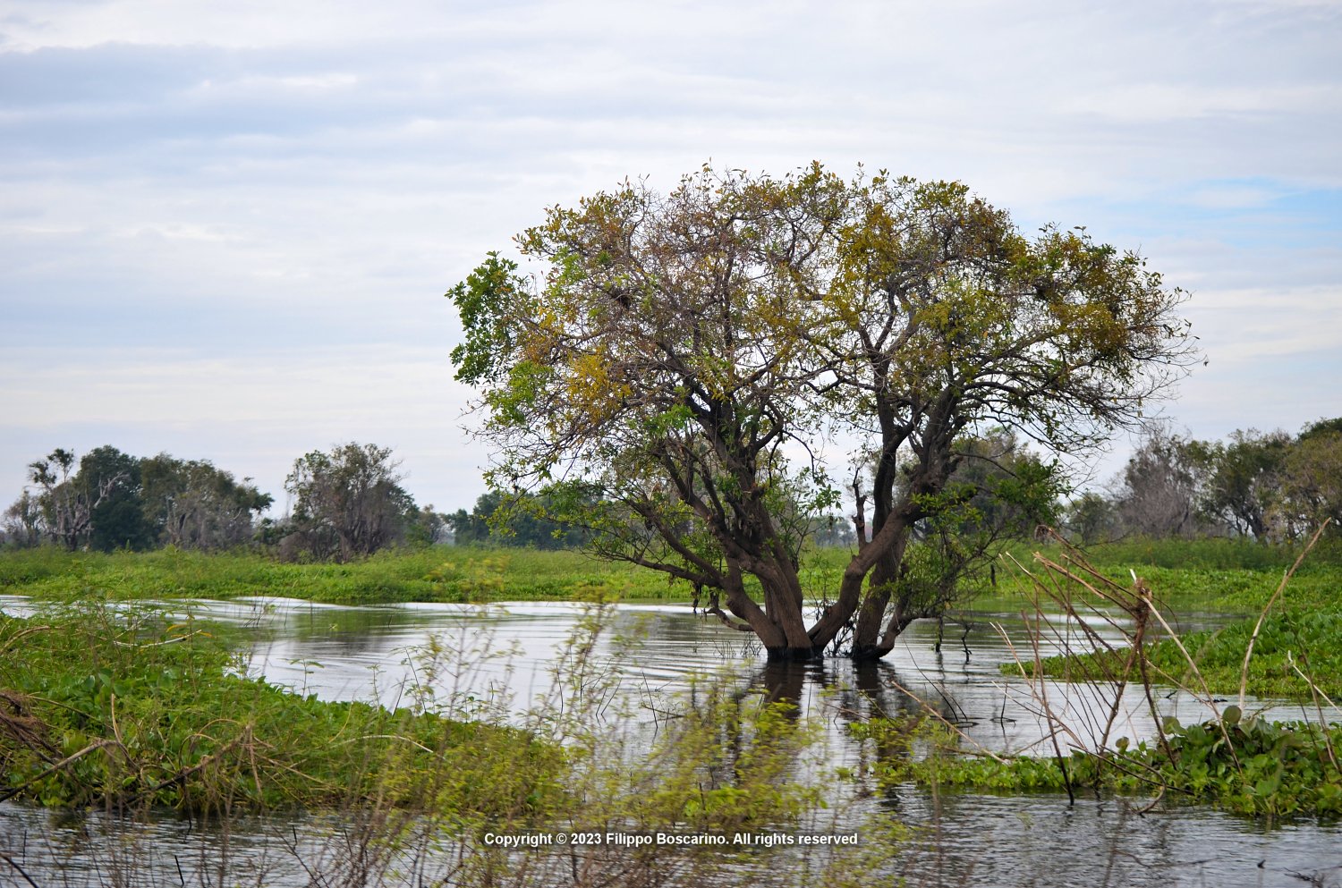 2016-12-31-battambang-siem-reap-2895-places